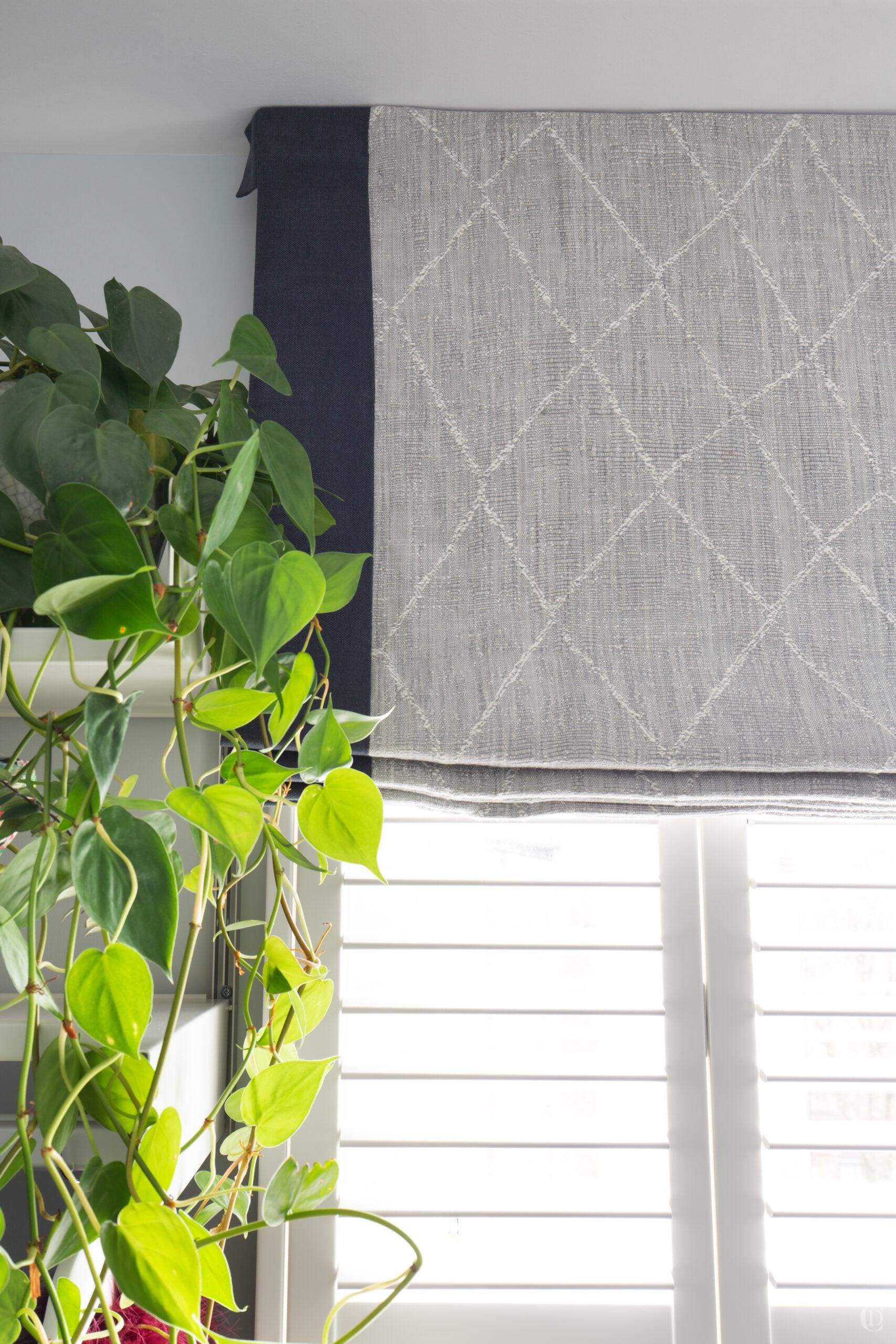 Claudia Dorsch Highgate 24